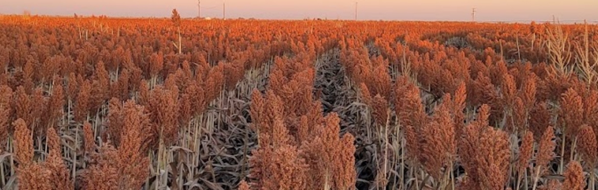 7th Annual No-Till Texas Soil Health Symposium