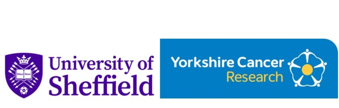 Yorkshire Cancer Research Sheffield Pioneers and More Life To Live - Round 6 Launch Meeting