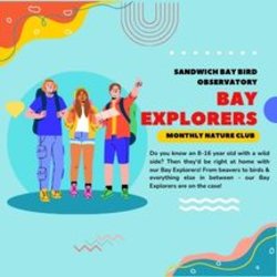 Bay Explorers: The Great Kentish Bird Off at Pegwell Bay