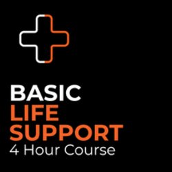 Basic Life Support Course (4 hours in-person)