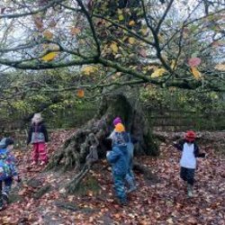 Forest School: Skills, Nature & Adventure - Burtown House C-PGFS-BH-26