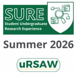 Life/Work Balance & Self-Advocacy for Undergraduate Student Researchers