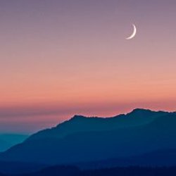 The Enchanted Night