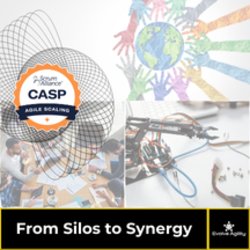 Certified Agile Scaling Practitioner - From Silos to Synergy thumbnail