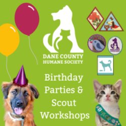 Birthday Parties and Scout Workshops