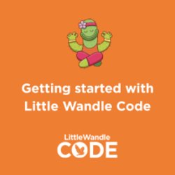 Getting Started with Little Wandle Code
