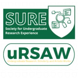 What is SURE?: Society for Undergraduate Research Experience (Hybrid)