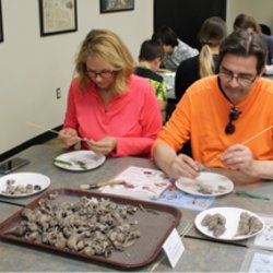 Volunteer Archaeology Lab in July