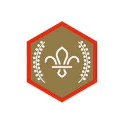 Chief Scout Gold Awards September 2026
