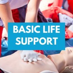 Basic Life Support Course (3 hours in-person)