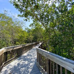 Naturalist Guided Tours in July
