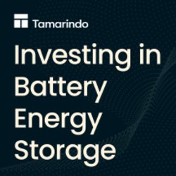 Investing in Battery Energy Storage