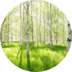 Using a PODE in Mediation