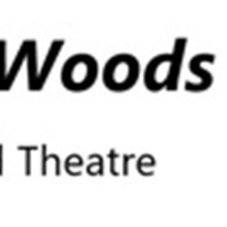 Theatre Group - Into the Woods
