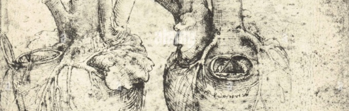 The Art and Heart of Leonardo - artistic anatomy then and now
