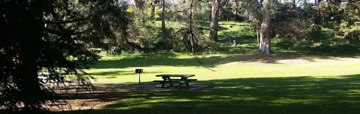 Inaugural Grotto Member Potluck Picnic