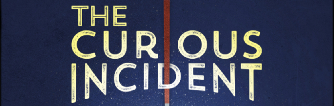 The Curious Incident of the Dog in the Night-Time