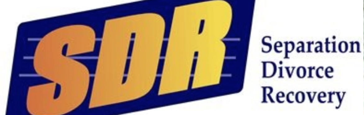 SDR Group Weekly Zoom Meeting - June 9