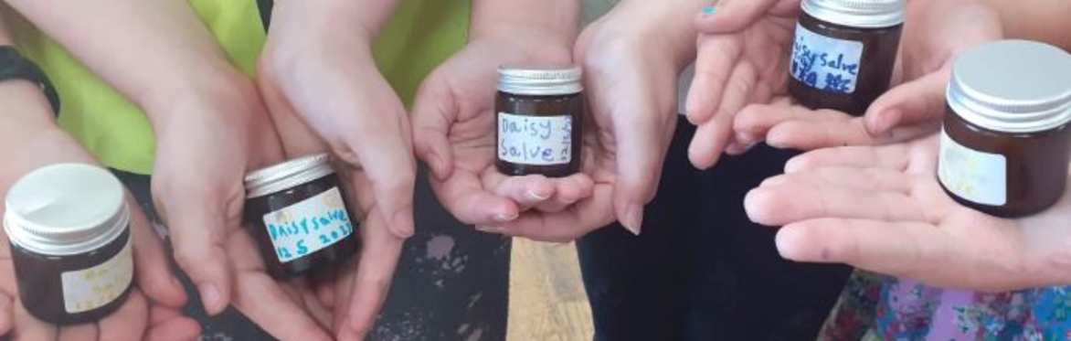 Junior Herbalist Club Autumn Taster Session