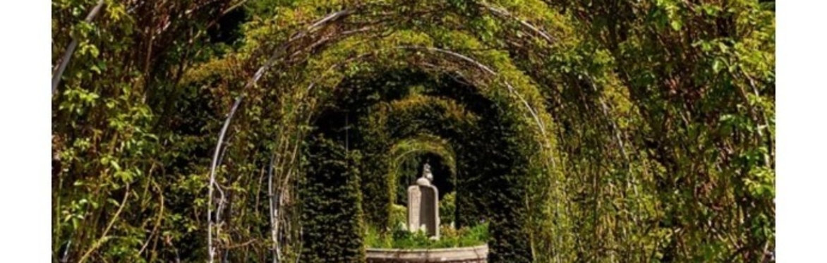 Mindful Photography - Sundays