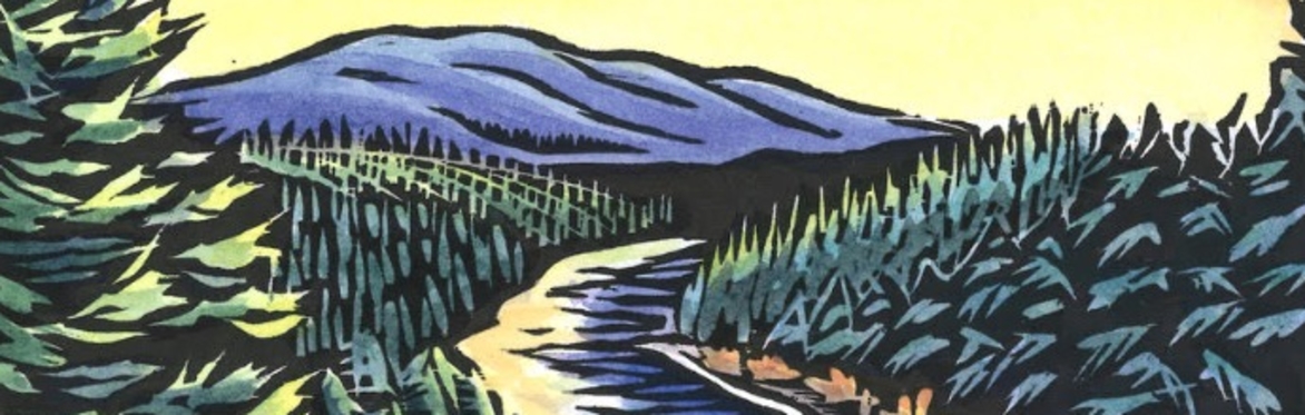 river with pine trees in background