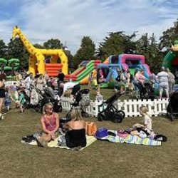 Mega inflatables fun day private hire for Ronnies way