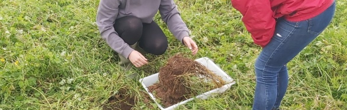 It all starts with the soil