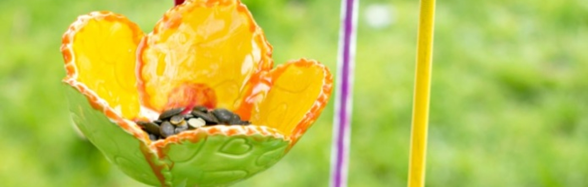 TALK - Pollinators & Plastics in your Garden