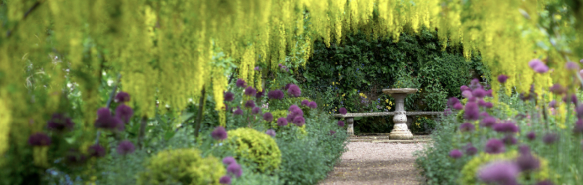 Dorothy Clive Gardens Visit