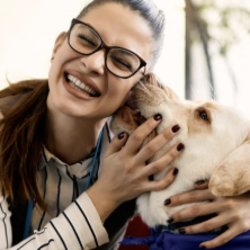 Therapy Dogs