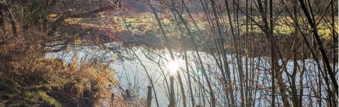 What Does a River Mean to You?  FREE EVENT