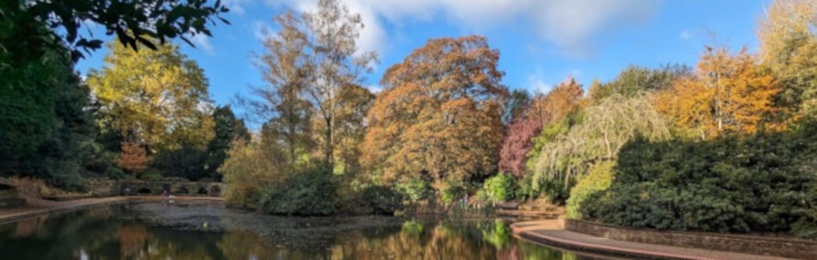 View of the lake on Grosvenor and Hilbert Park