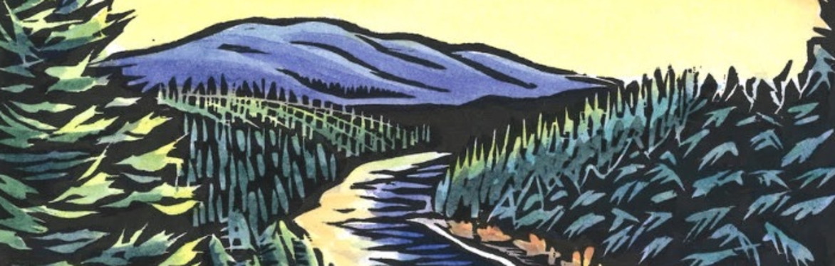 river with pine trees in background