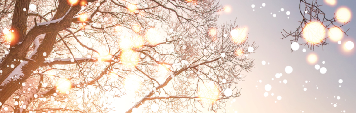 Concert: Light in the Snow