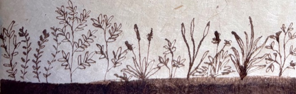 Plants of Arrival: Drawing Belonging Through “Weeds”