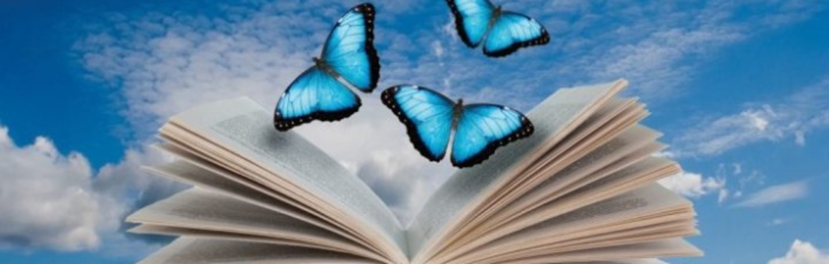 Book cover title