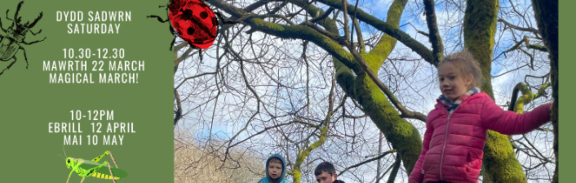 Spring- Summer family forest play poster