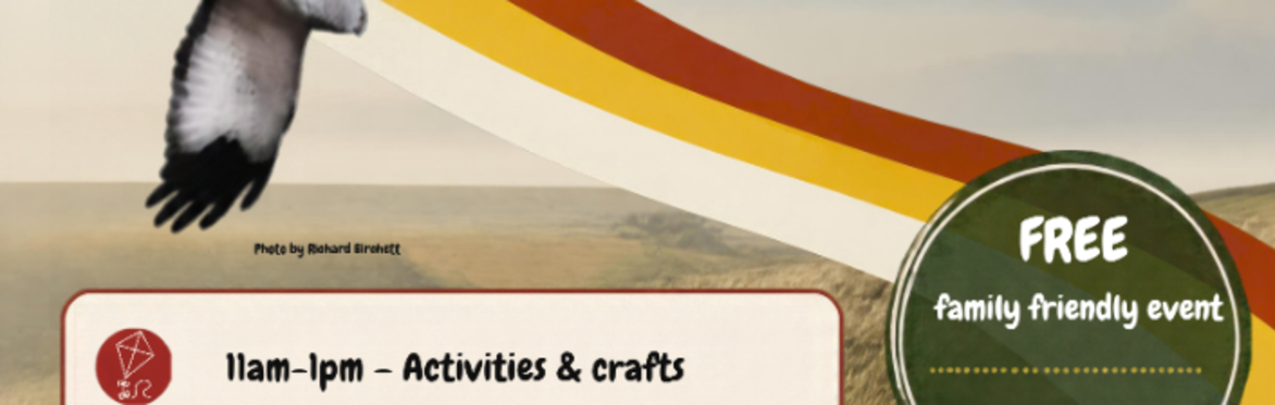 Hen Harrier Day : Raptor Walk