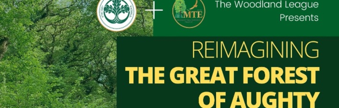 Re-Imagining The Great Forest of Aughty