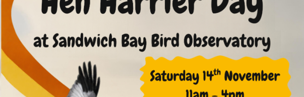 Hen Harrier Day : Talk