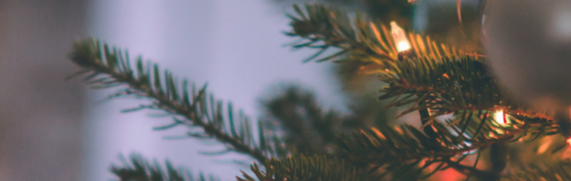 🎄🎄 Join the waitlist for The Mama Tree Christmas One! 🎄🎄