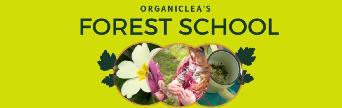 OrganicLea's Forest School Spring Term 26