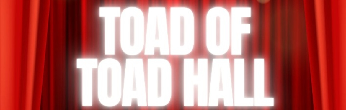 Toad of Toad Hall - A Don't Go Into The Cellar production