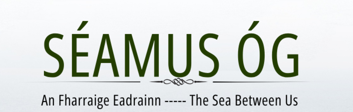 Séamus Óg - A night of Folk music