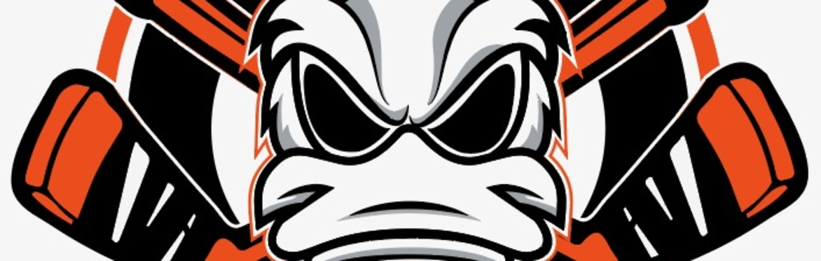8U Ducks AAA - 2027 Player Registration