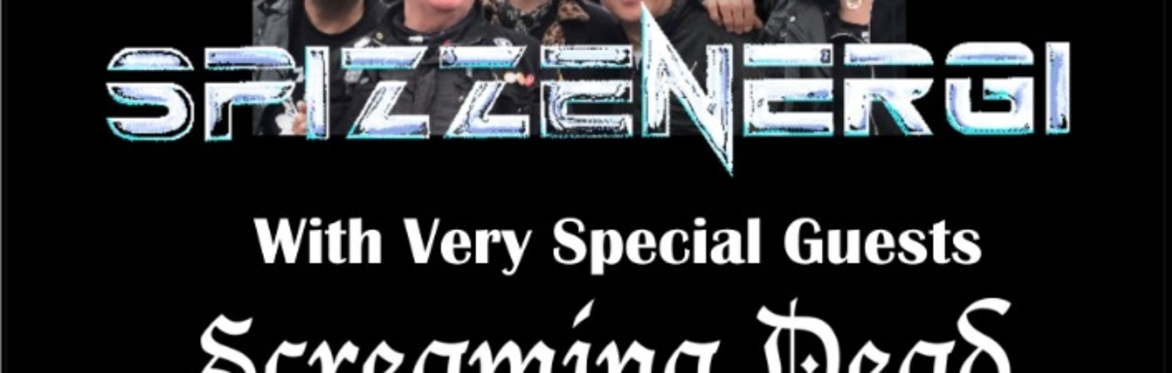The Great Spizzenergi Summer Party