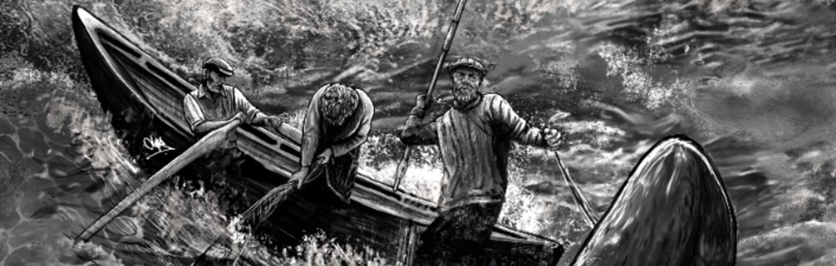 Image is of three fishermen in a currach at sea with the nose of a basking shark