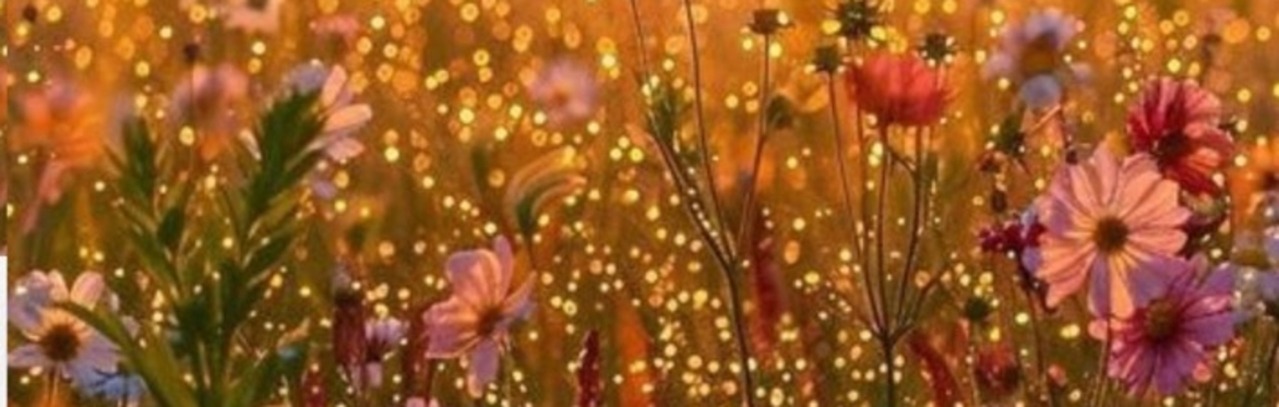 Weekend de création : Printemps