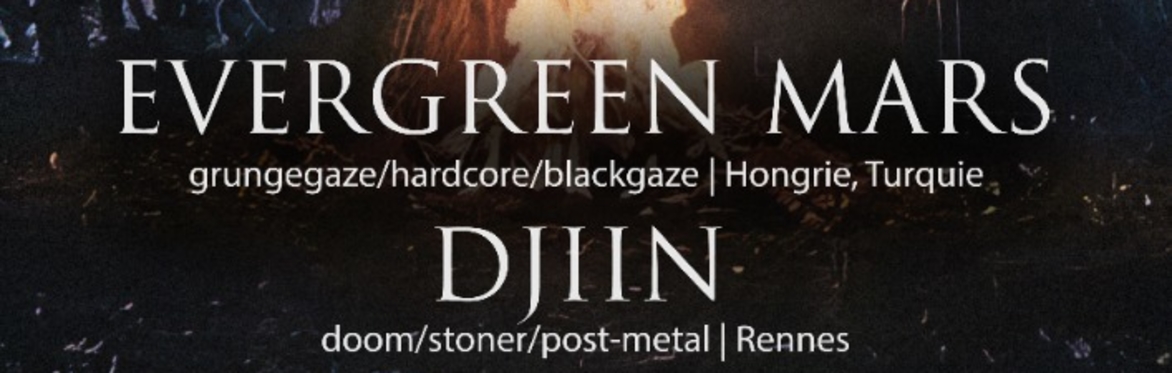 Evergreen Mars (HU) x Djiin (Rennes) x Ikad (SRB)
