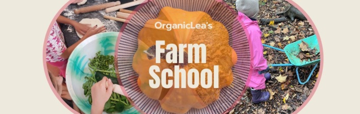 OrganicLea's Farm School Pilot June 26